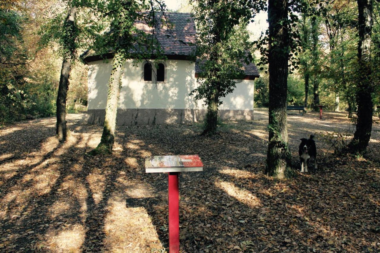 Gites D'Illfurth Eksteriør billede
